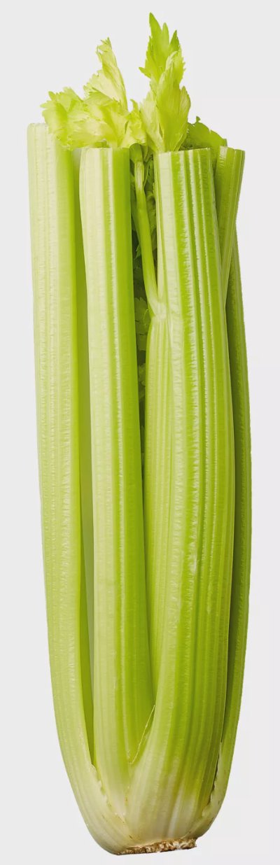 Целина стъбла 