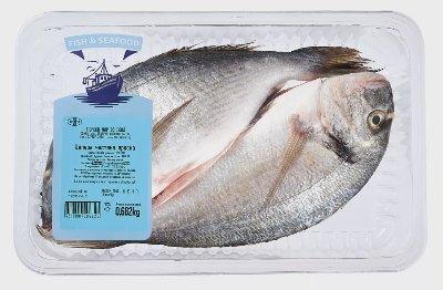 Ципура чистена, прясна